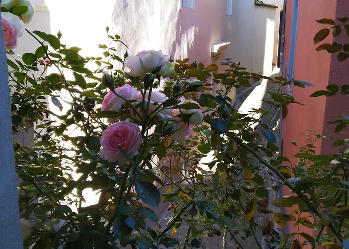 2 Rue De La Tour Villa Aniane